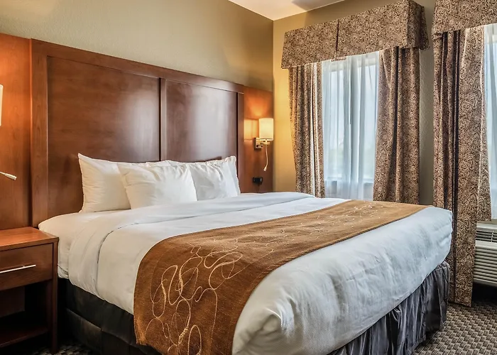 Comfort Suites Near Texas State University